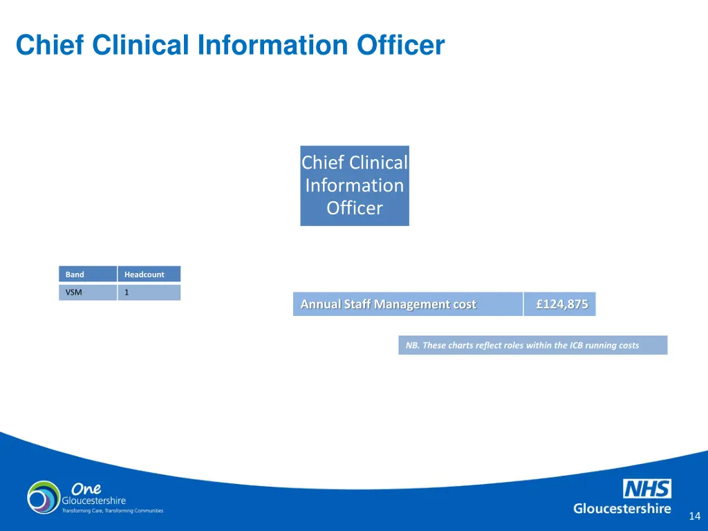 chief clinical information officer