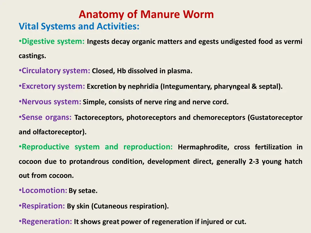 anatomy of manure worm vital systems