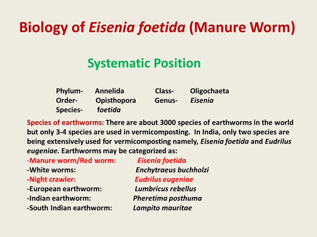 biology of eisenia foetida manure worm