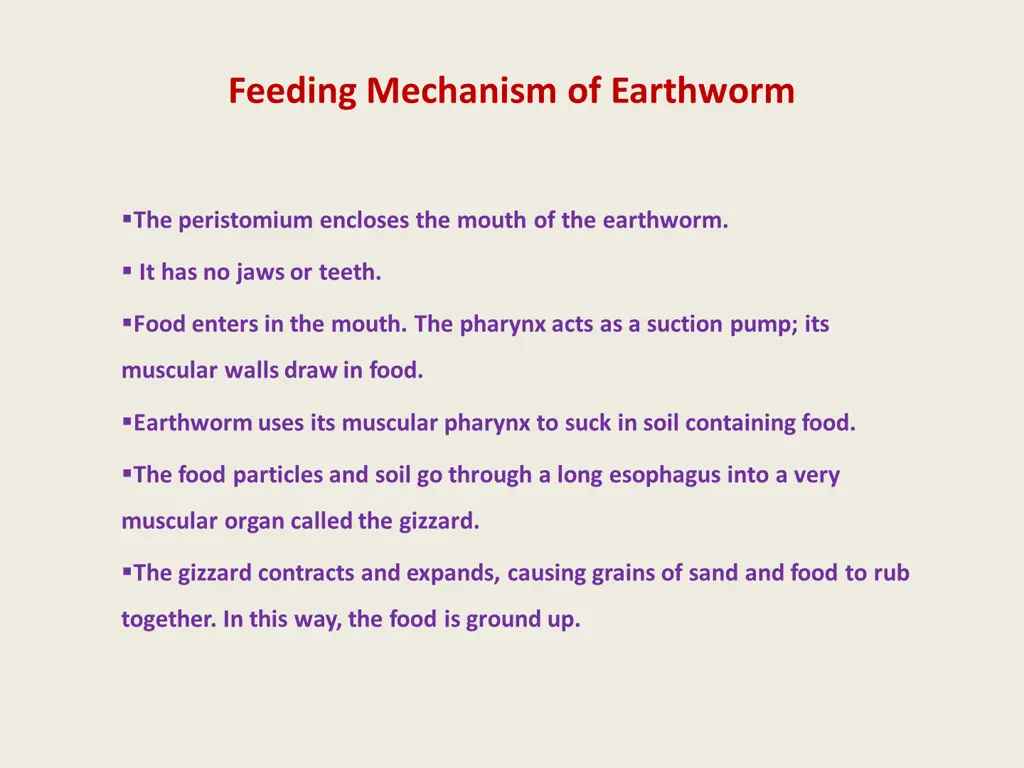 feeding mechanism of earthworm