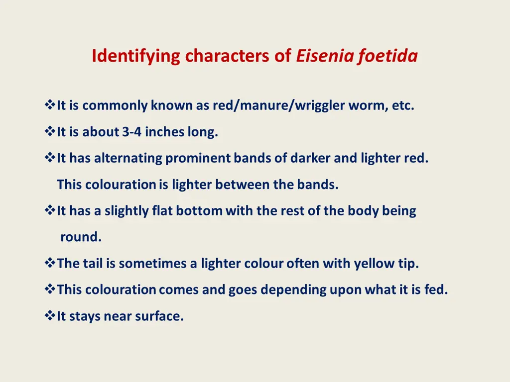 identifying characters of eisenia foetida