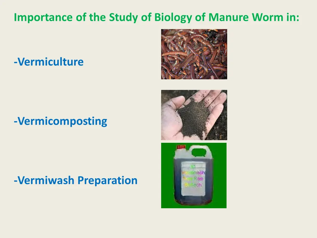 importance of the study of biology of manure worm