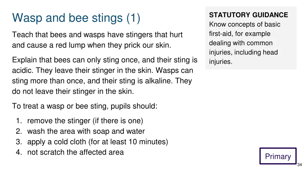 wasp and bee stings 1