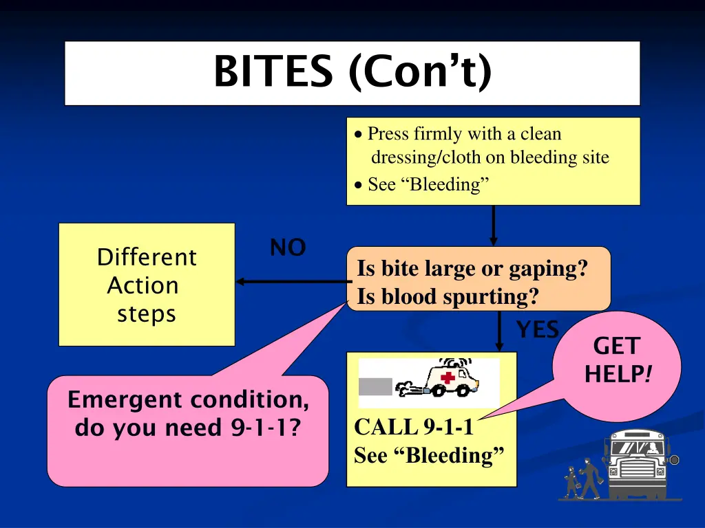 bites con t