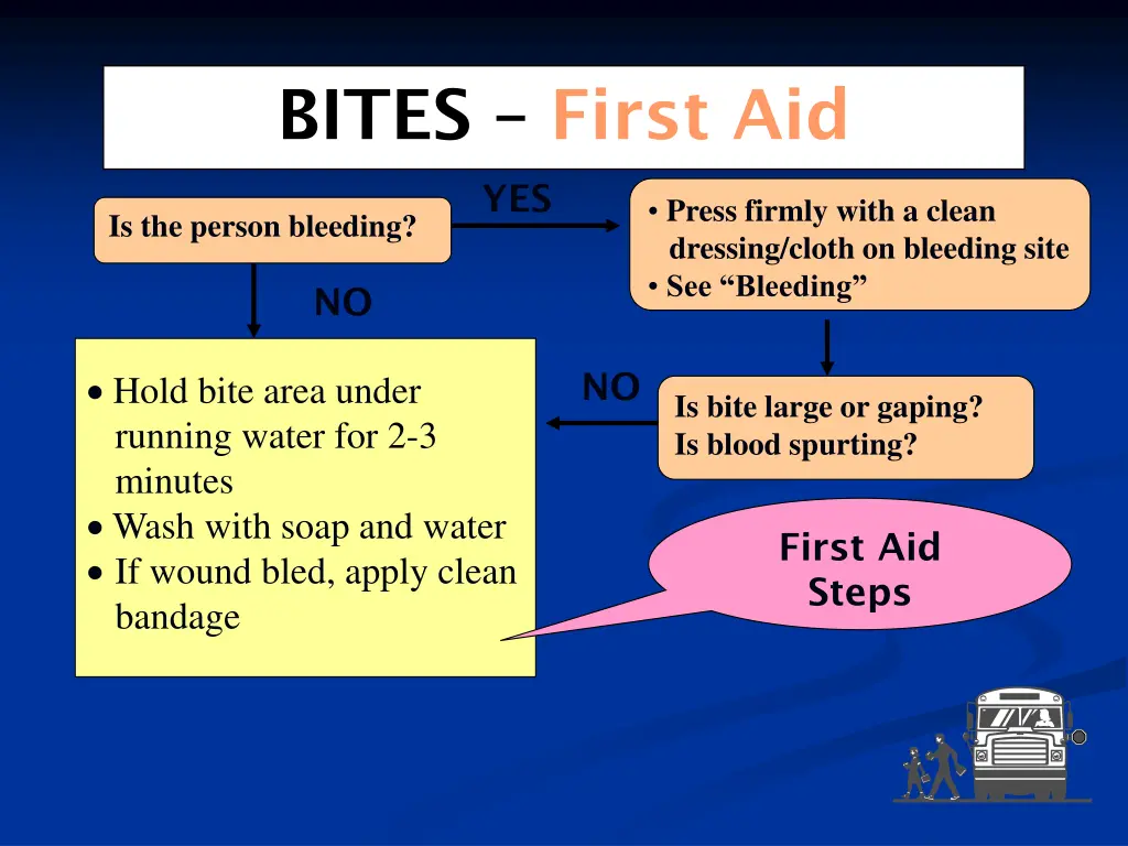 bites first aid