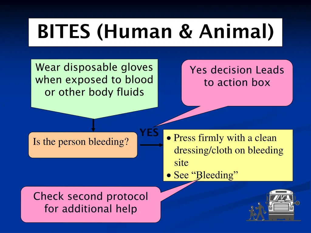 bites human animal 1