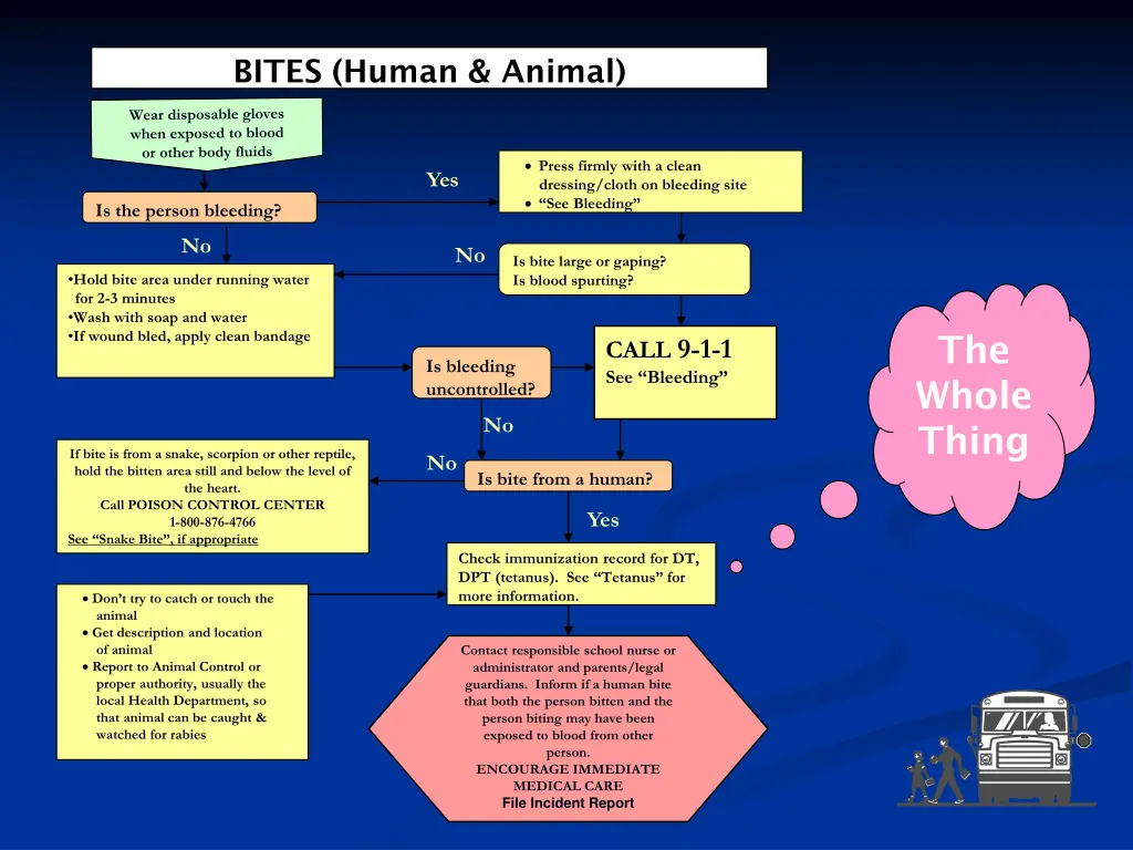 bites human animal 2