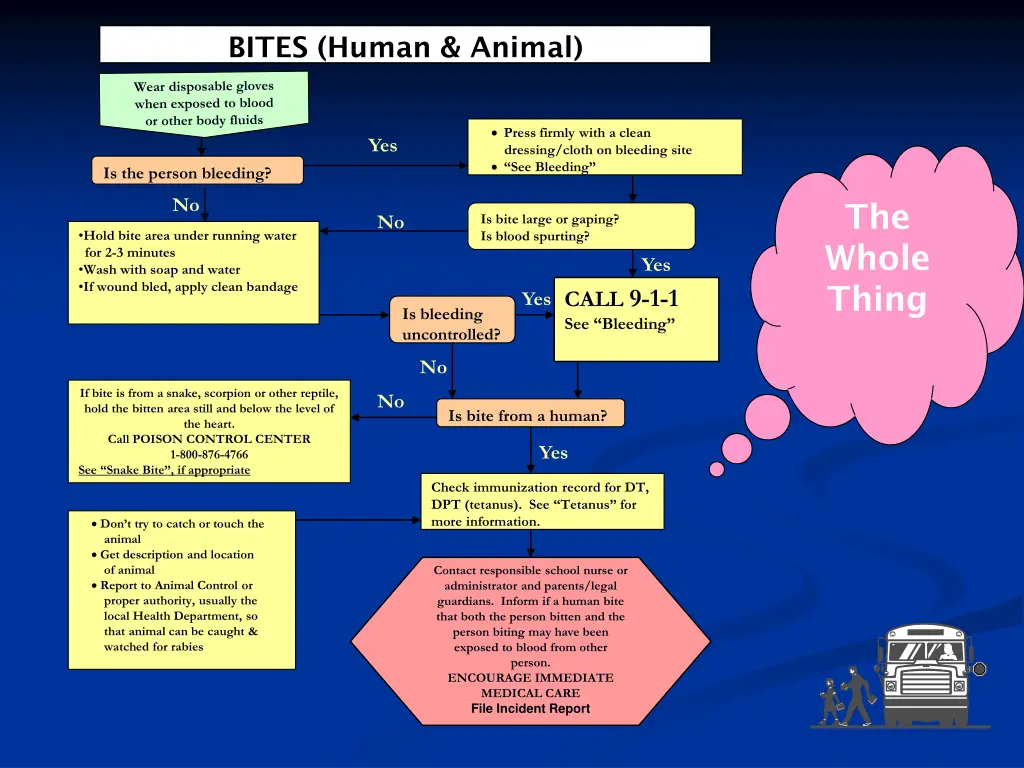 bites human animal