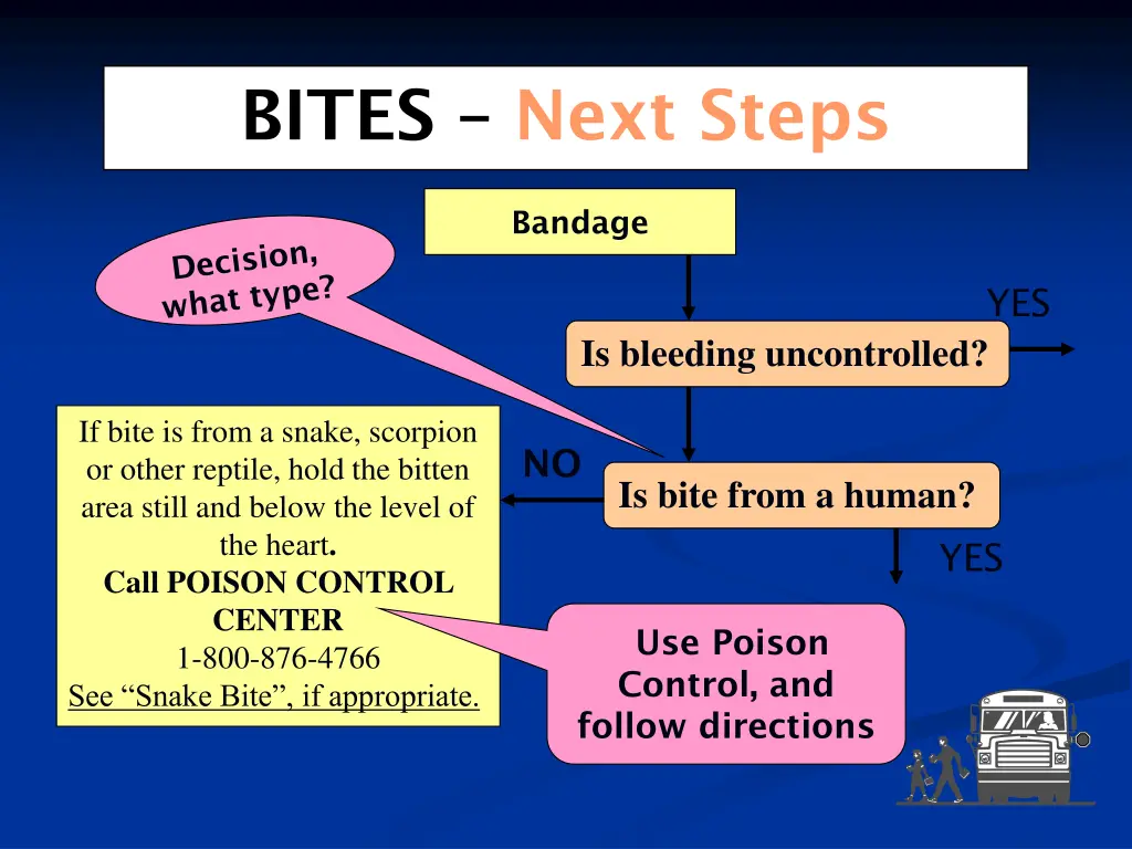 bites next steps