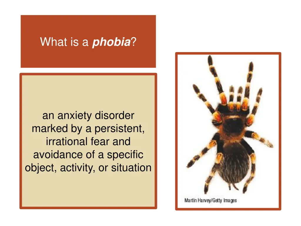 what is a phobia