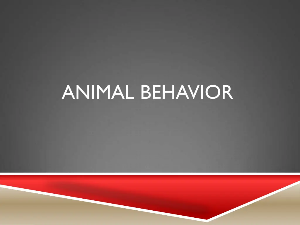 animal behavior