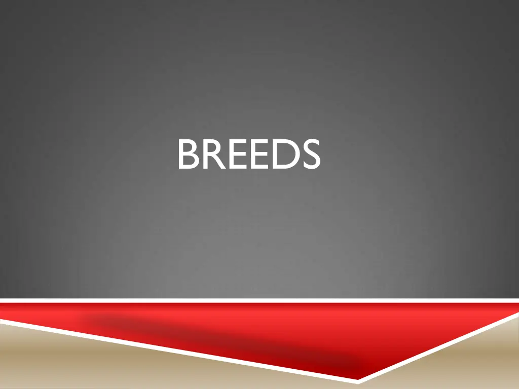 breeds