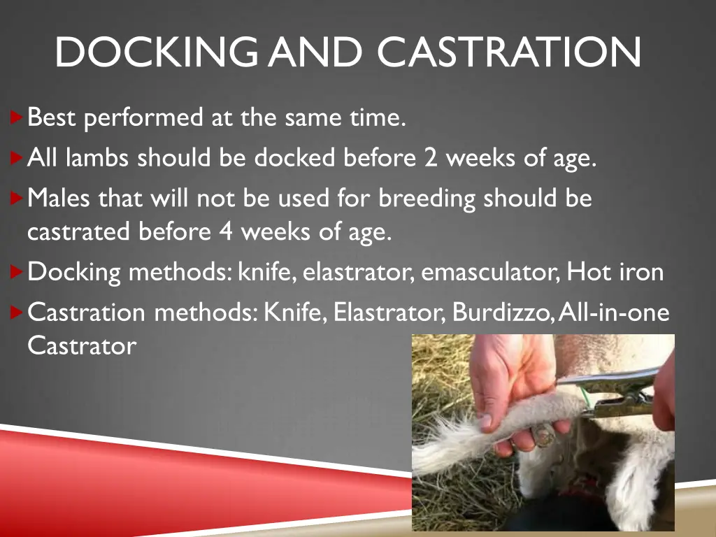 docking and castration