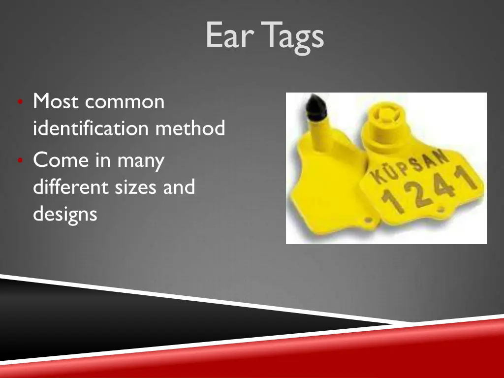 ear tags