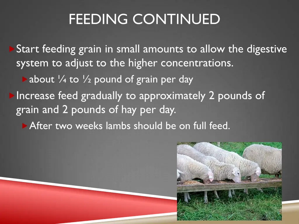 feeding continued