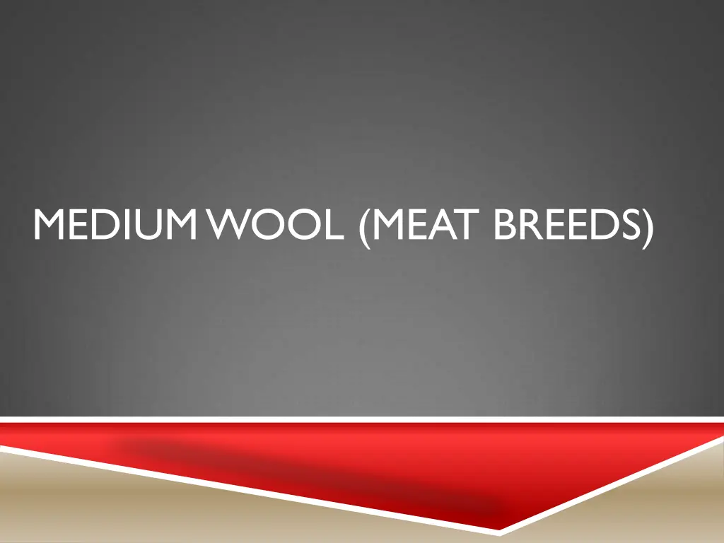 medium wool meat breeds