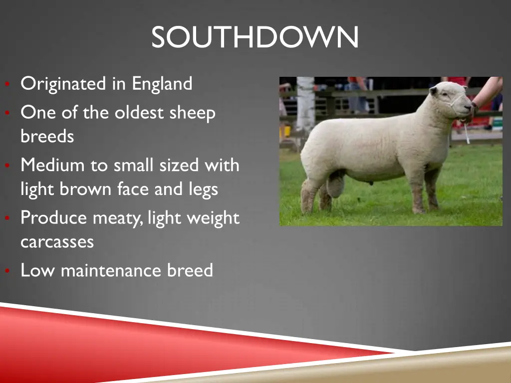 southdown