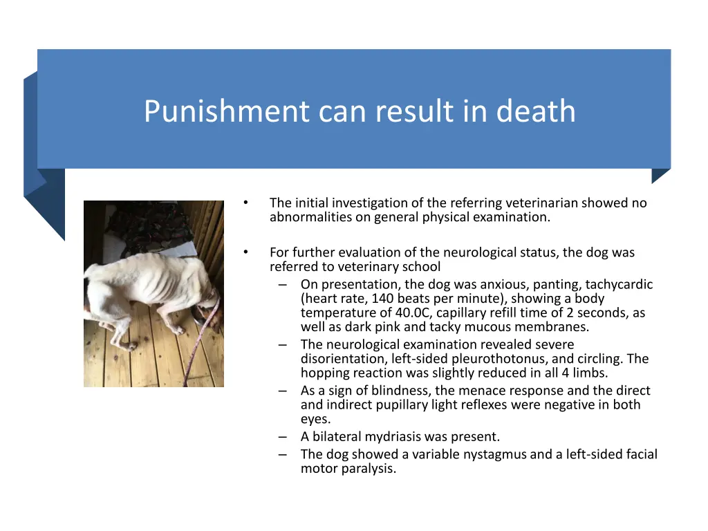 punishment can result in death 1