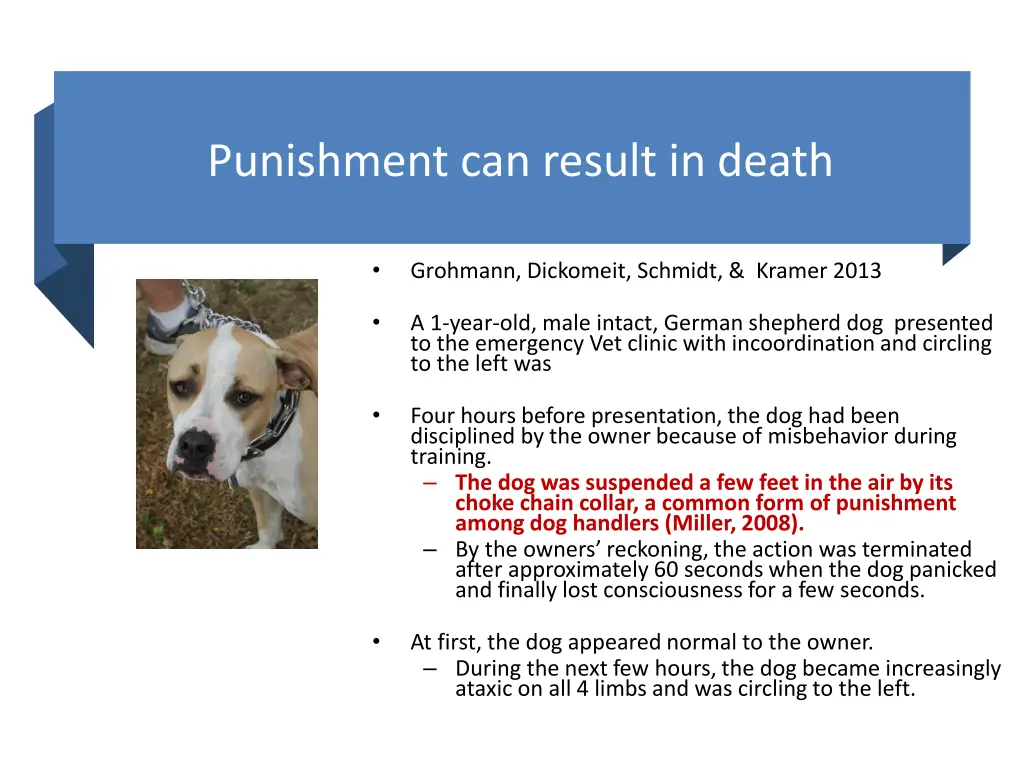 punishment can result in death