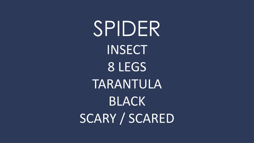 spider insect 8 legs tarantula black scary scared