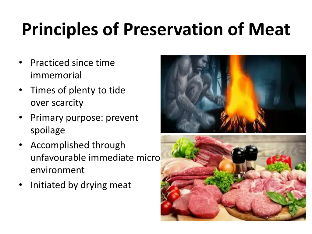 principles of preservation of meat