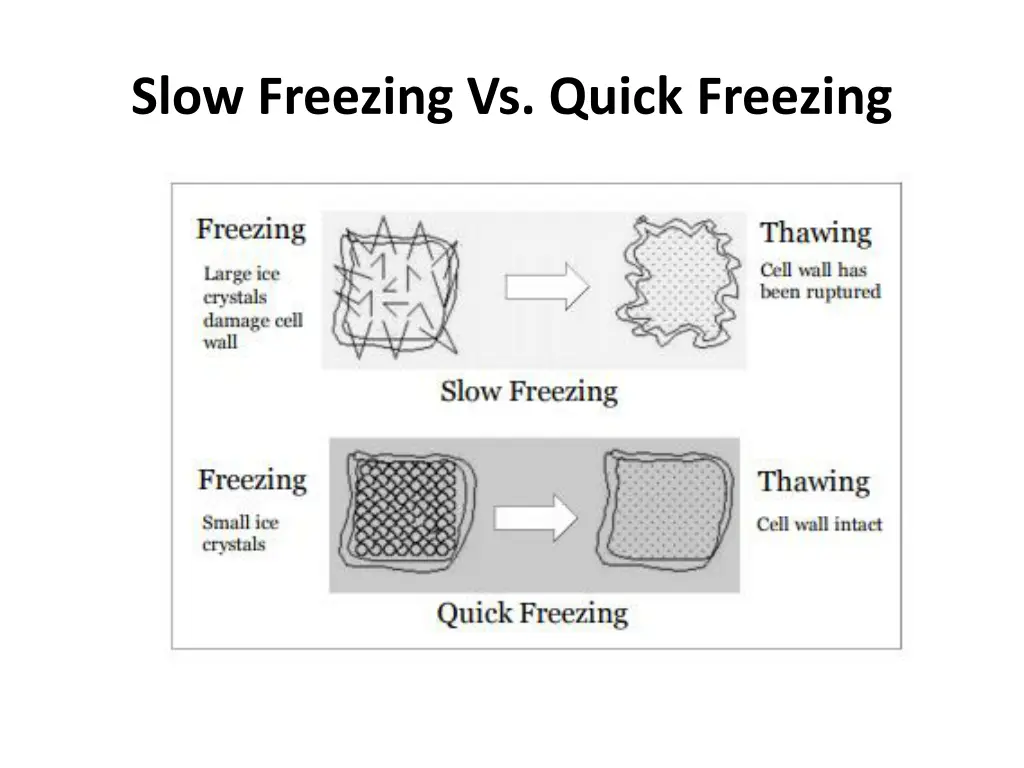 slow freezing vs quick freezing