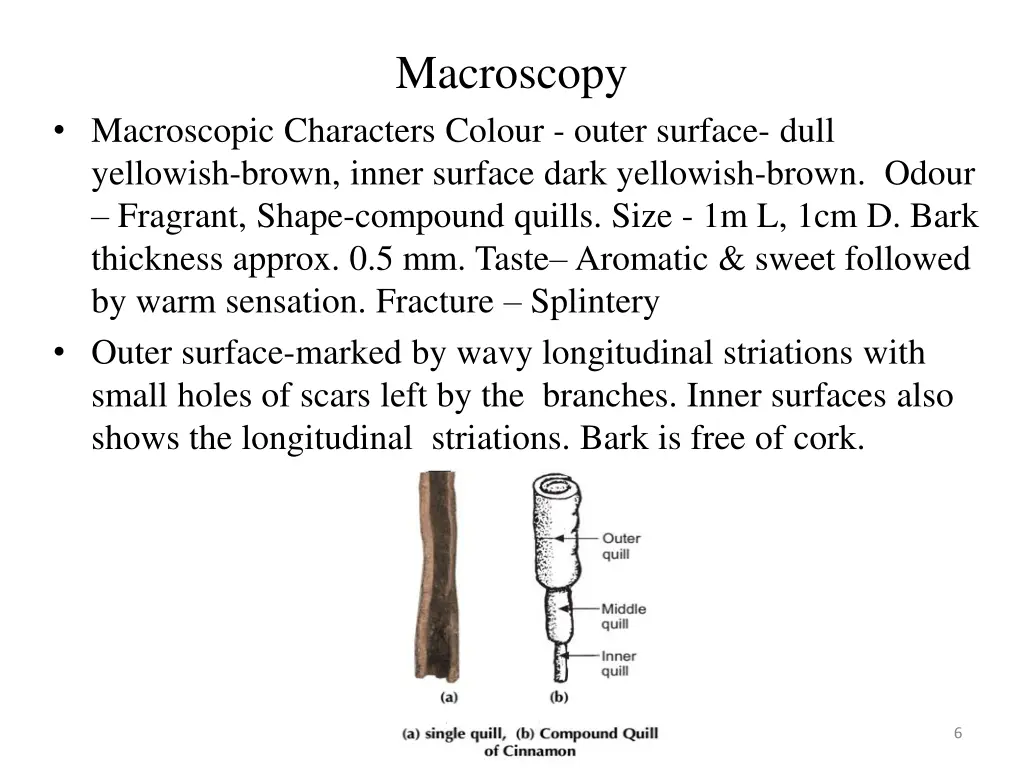 macroscopy