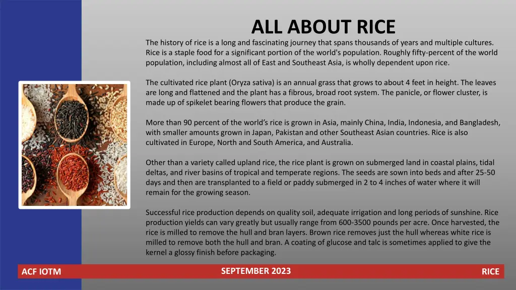 all about rice