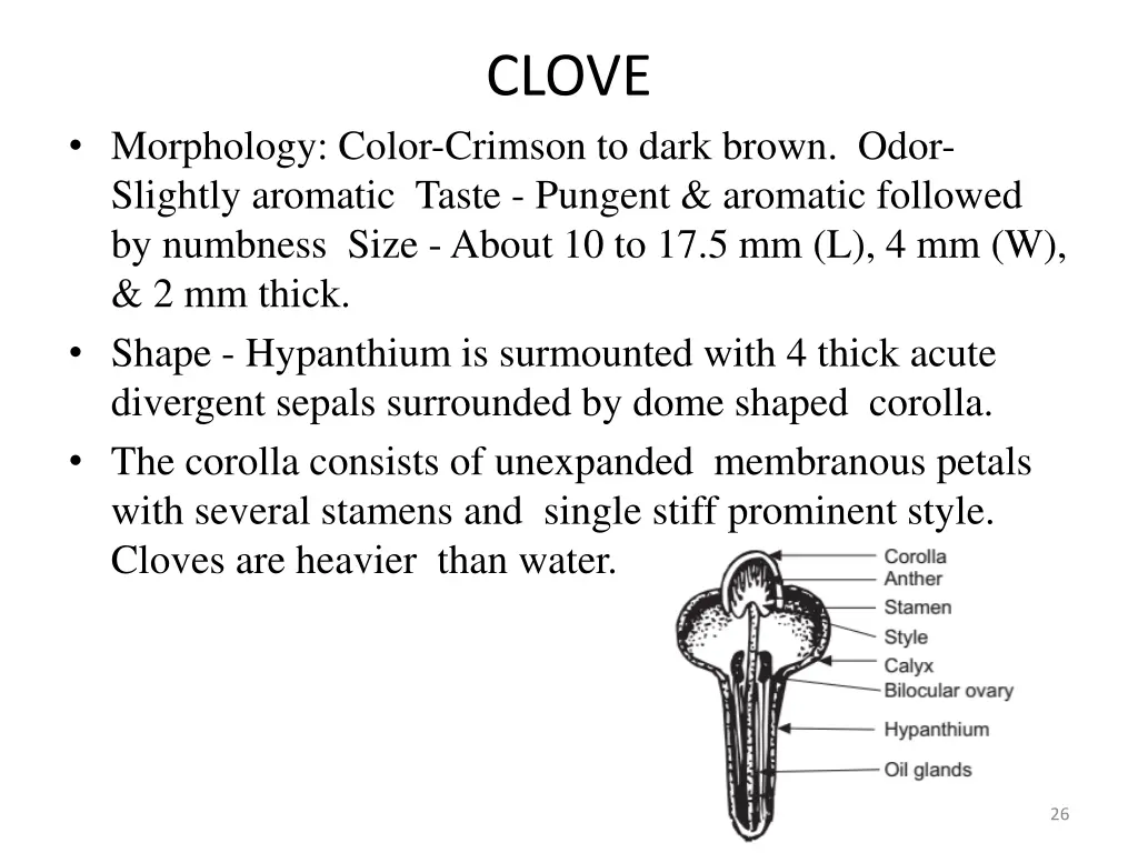 clove 3