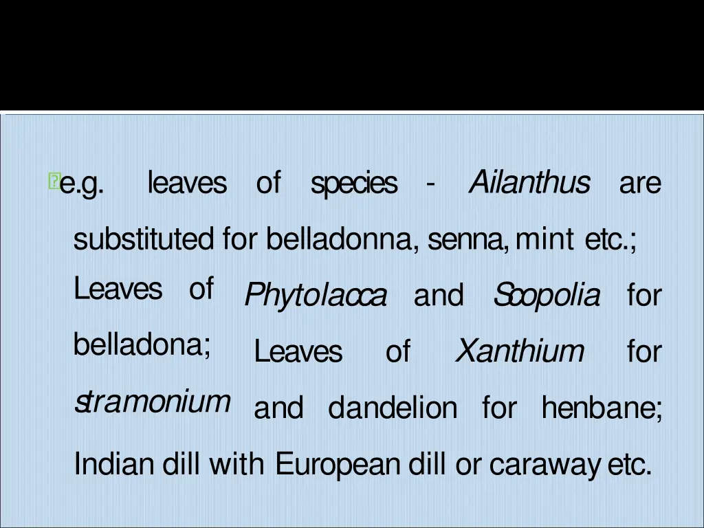 ailanthus