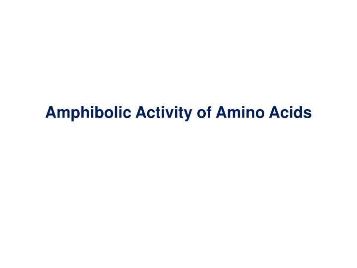 amphibolic activity of amino acids