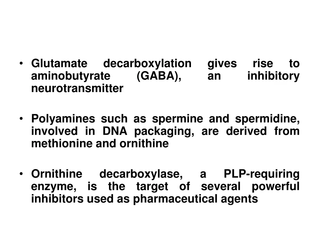 glutamate aminobutyrate neurotransmitter