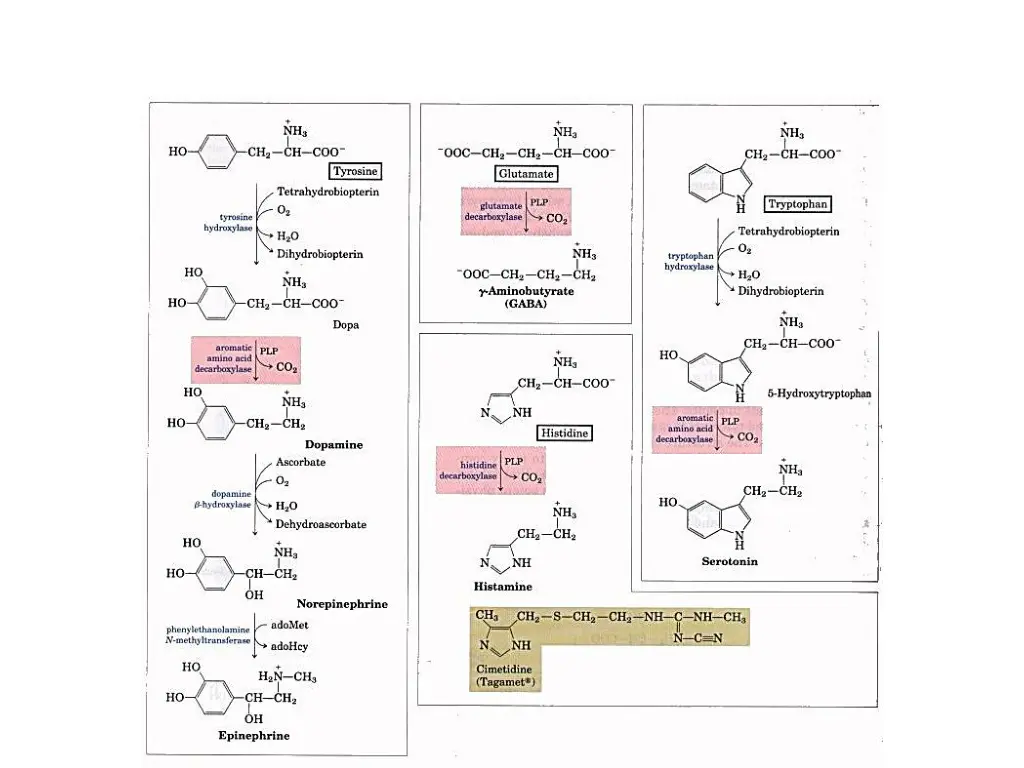 slide16