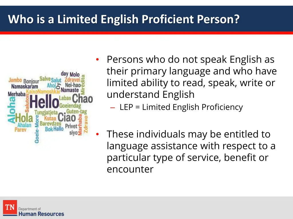 who is a limited english proficient person