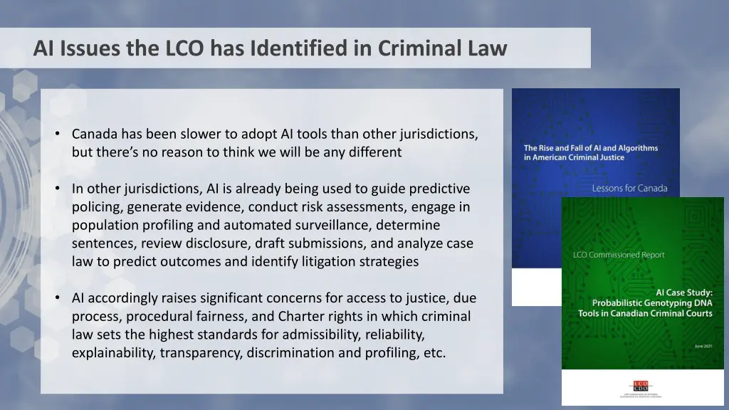 ai issues the lco has identified in criminal law