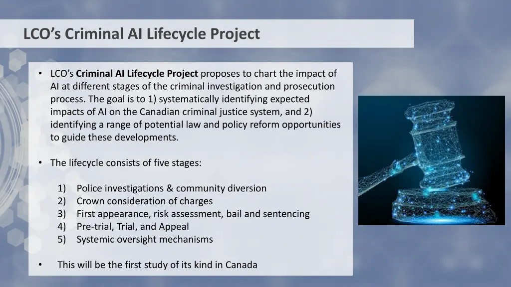 lco s criminal ai lifecycle project