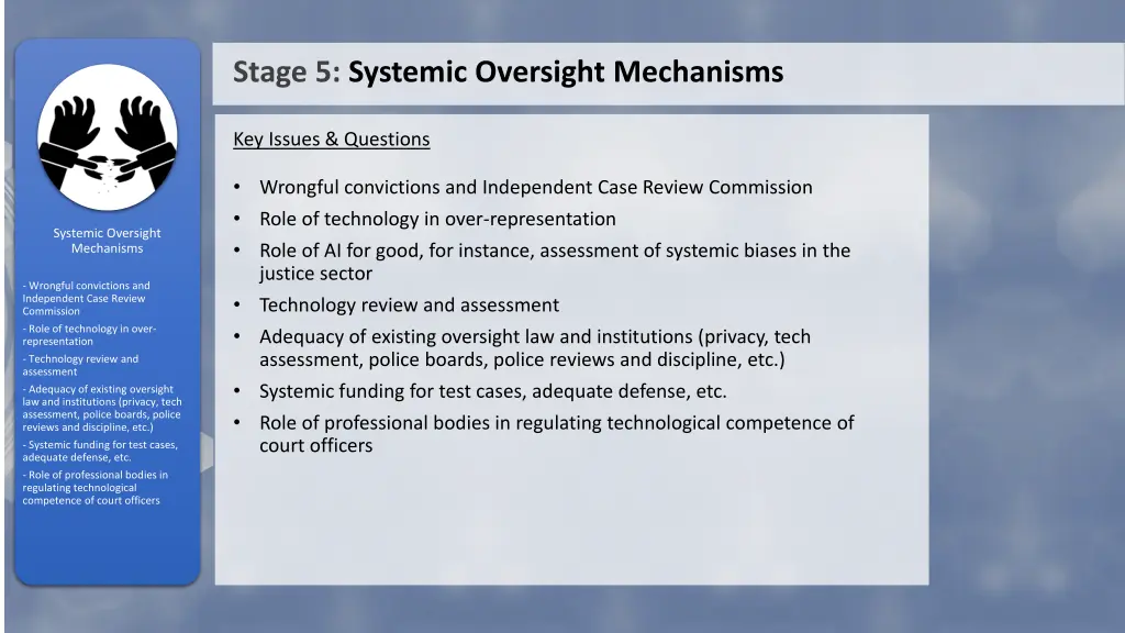 stage 5 systemic oversight mechanisms