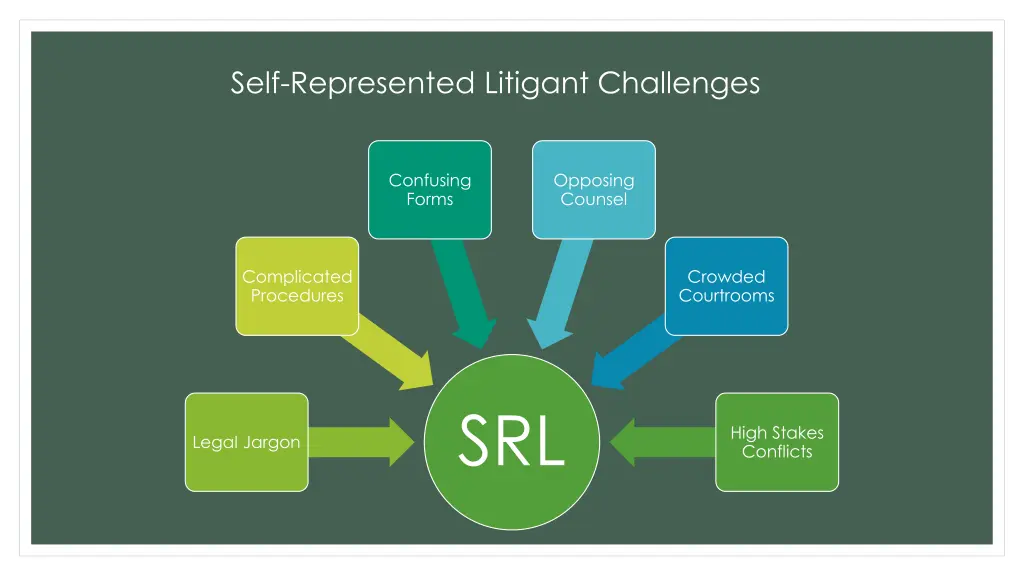 self represented litigant challenges