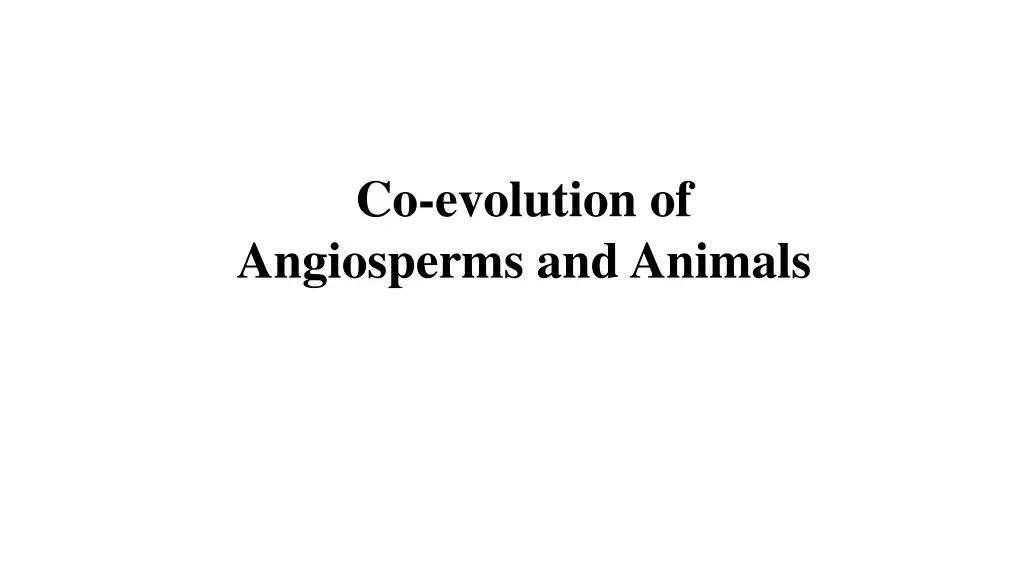 co evolution of angiosperms and animals