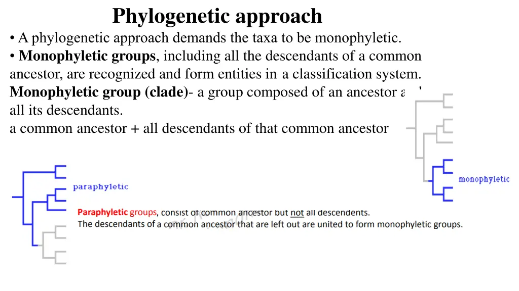 phylogenetic approach a phylogenetic approach