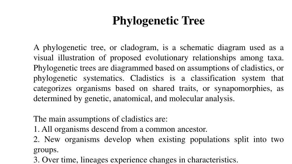 phylogenetic tree