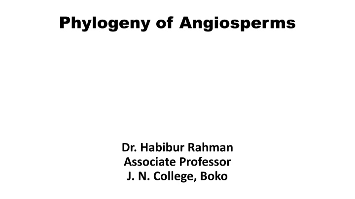 phylogeny of angiosperms