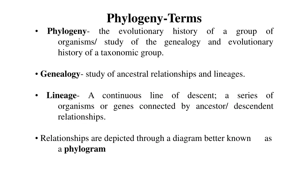 phylogeny terms