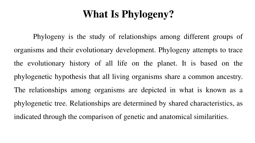 what is phylogeny