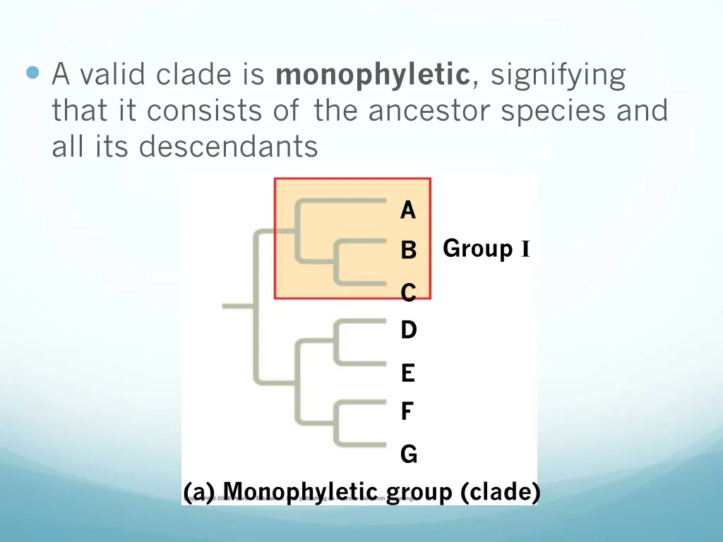 a valid clade is monophyletic signifying that