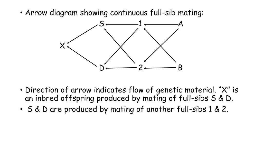 arrow diagram showing continuous full sib mating s