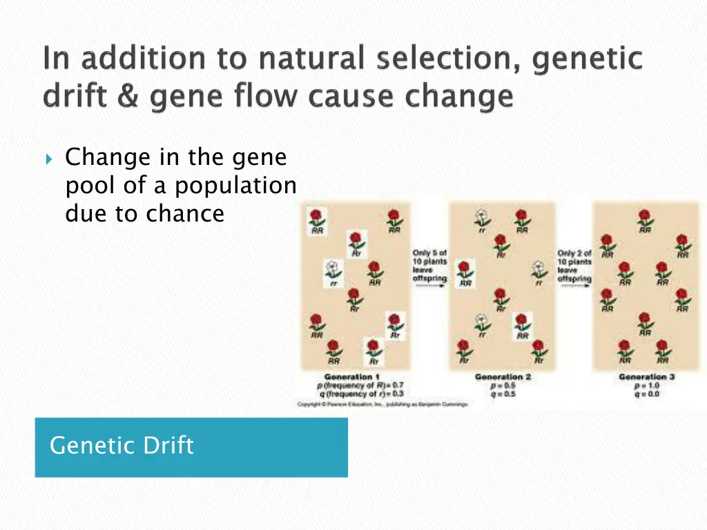 change in the gene pool of a population