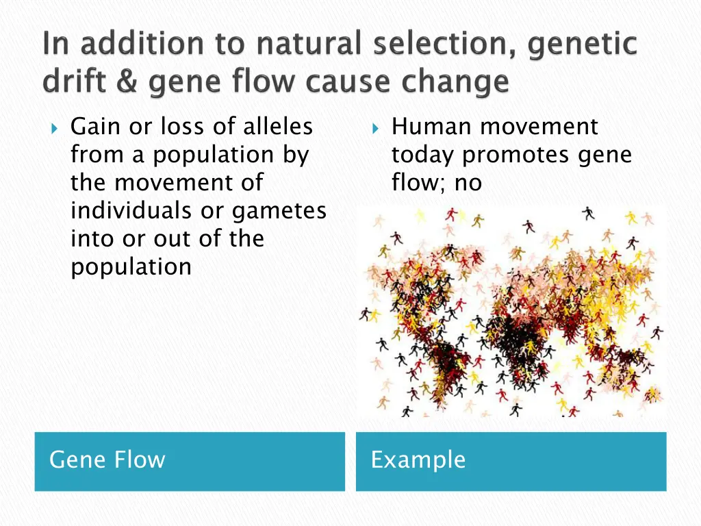 gain or loss of alleles from a population