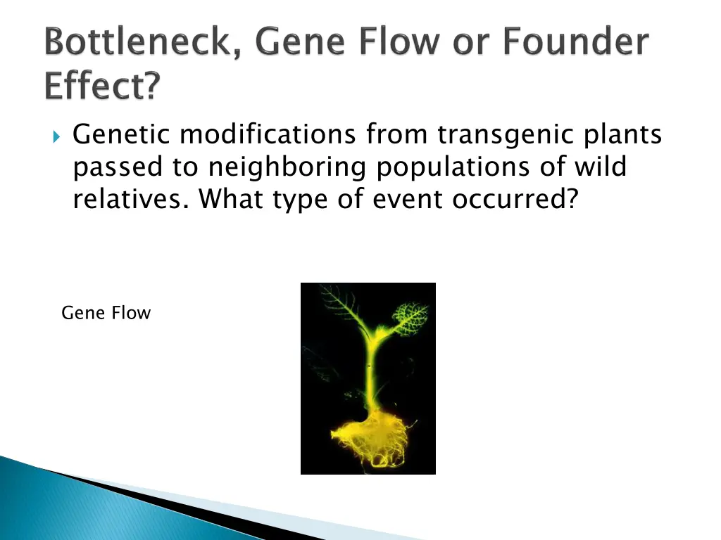 genetic modifications from transgenic plants