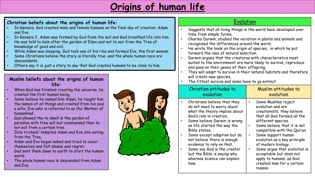 origins of human life